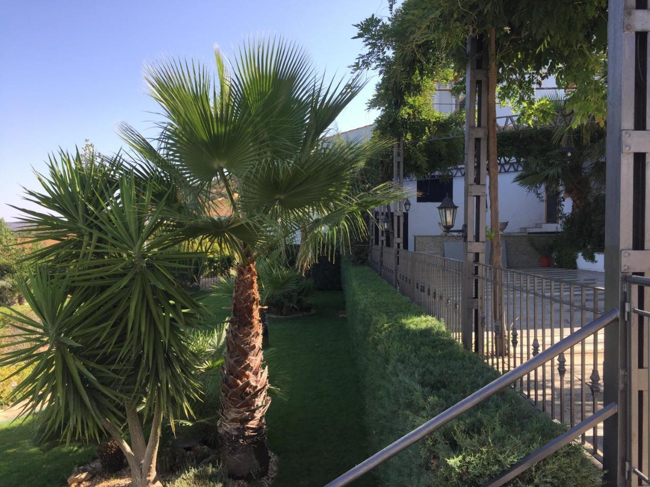 Apartamentos Atalayas Extremadura Zafra Ngoại thất bức ảnh